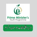 Chief Minister Punjab Hunarmand Program